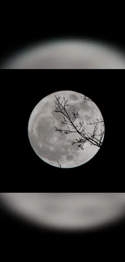 Full moon and branches against a dark sky mobile wallpaper.