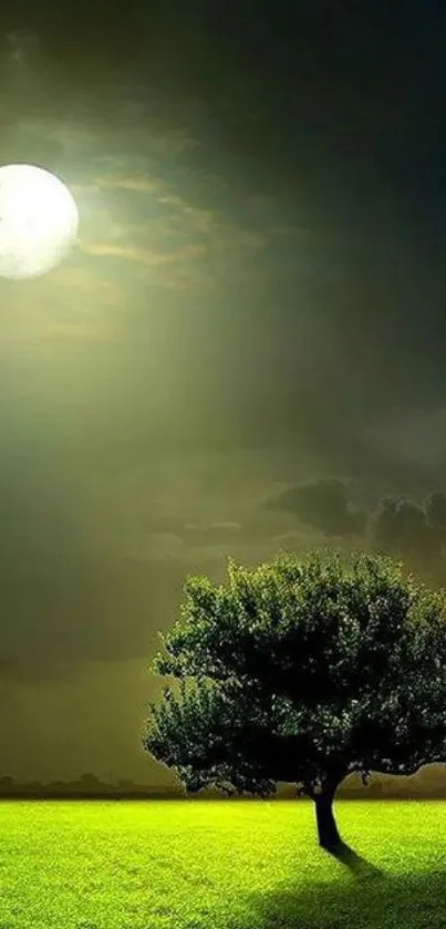 Moonlit night landscape with tree and green field.