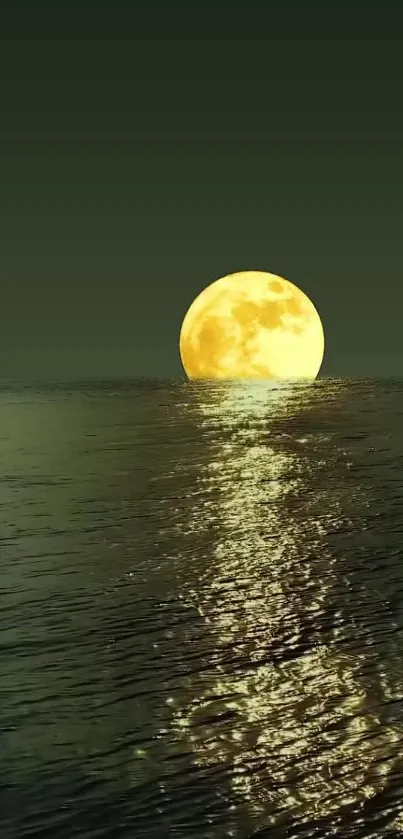 Full moon casting reflection on olive green ocean.