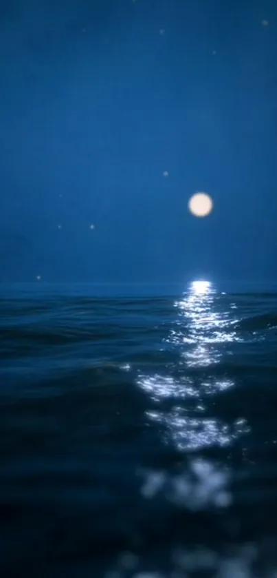 Moonlit ocean reflecting around a bright night sky.