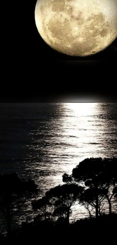 Full moon over ocean with silhouetted trees at night.