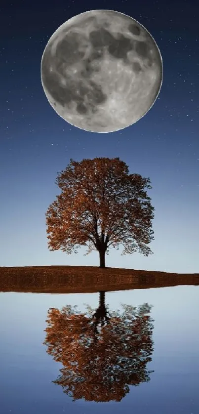 Moonlit tree reflecting on a calm lake under a starry night sky.