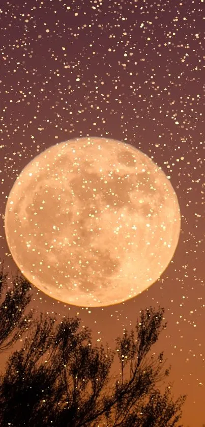 Full moon rising against a twilight sky with tree silhouettes.