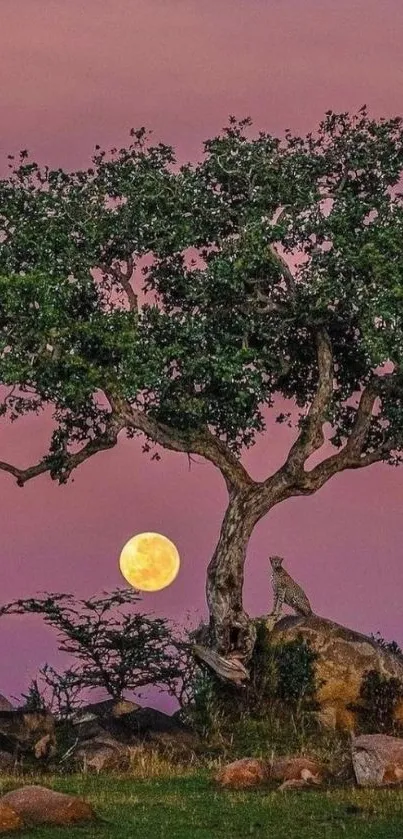 Full moon rising behind a tree on a serene landscape at dusk.