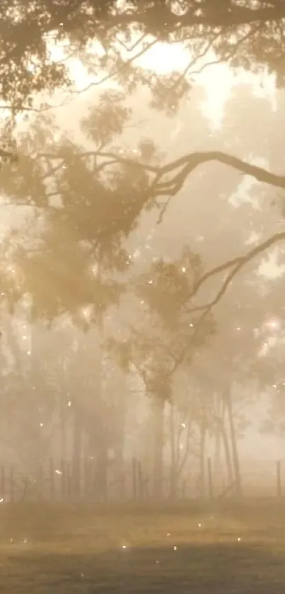 Serene forest path with golden morning mist and sunlight.