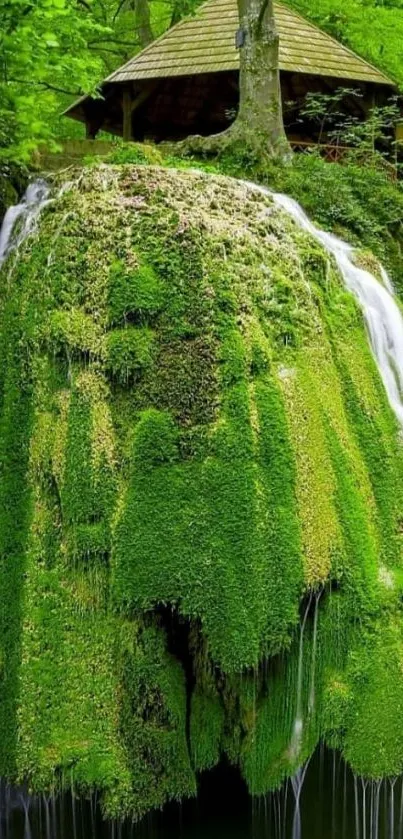 Moss-covered waterfall in a lush green forest with a wooden hut above.