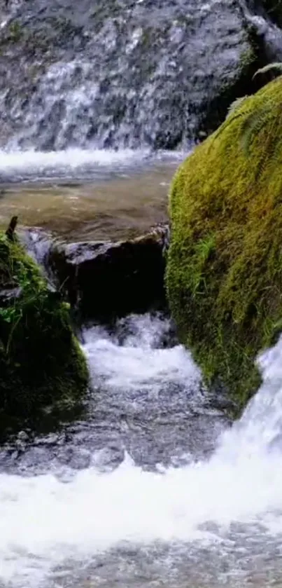 Tranquil waterfall with mossy rocks and flowing water.