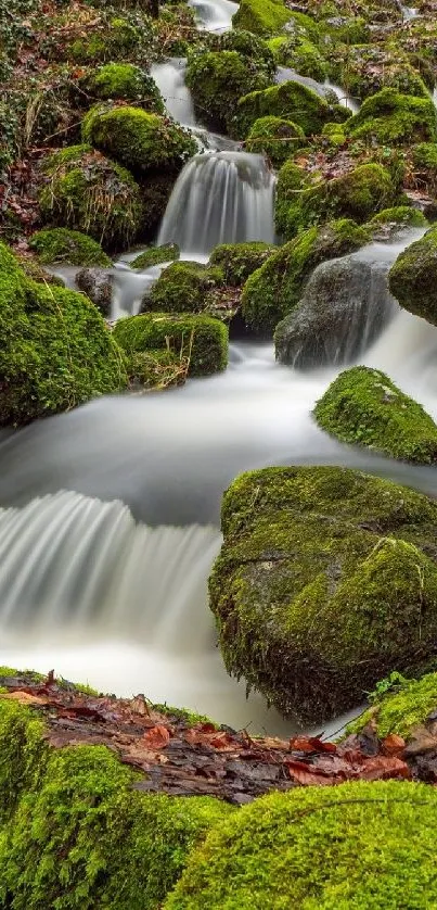 Moss-covered rocks with cascading water in a serene forest setting.