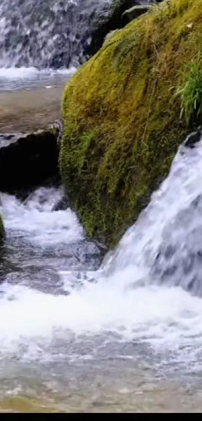 Mossy waterfall with flowing water and lush greenery.