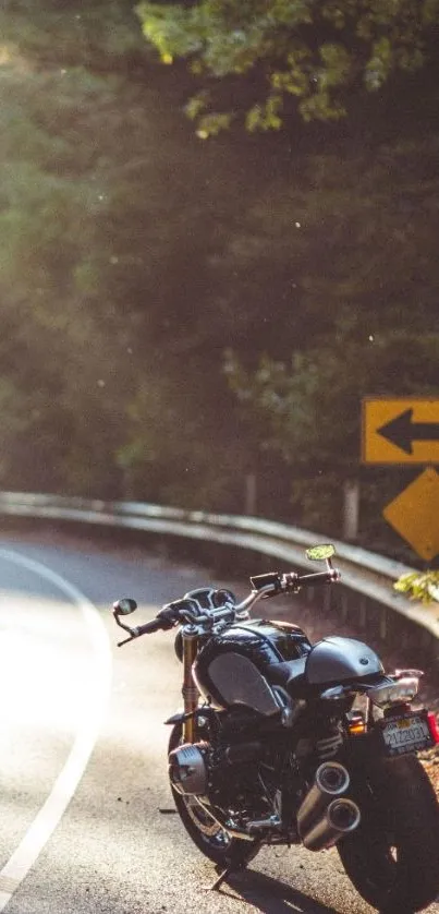 Motorcycle on a sunlit curved road, surrounded by nature.