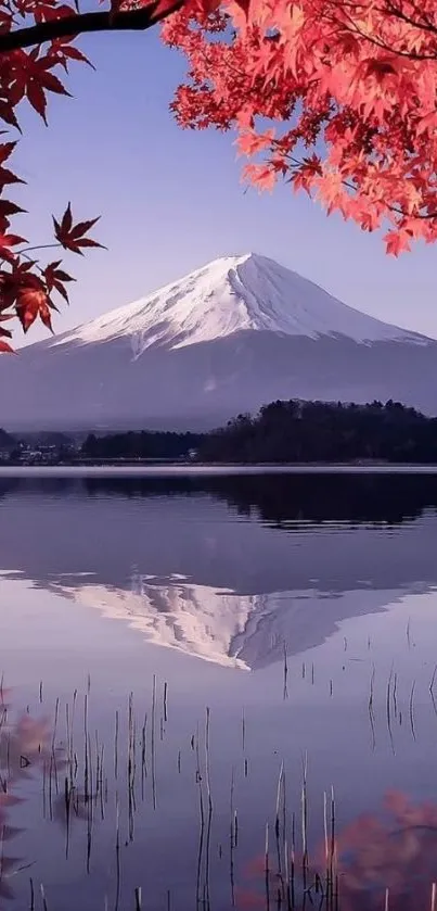 Mount Fuji reflected on lake with red leaves in autumn.