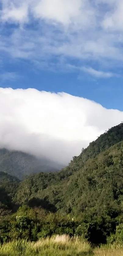 Mobile wallpaper of lush mountains and a cloudy sky.