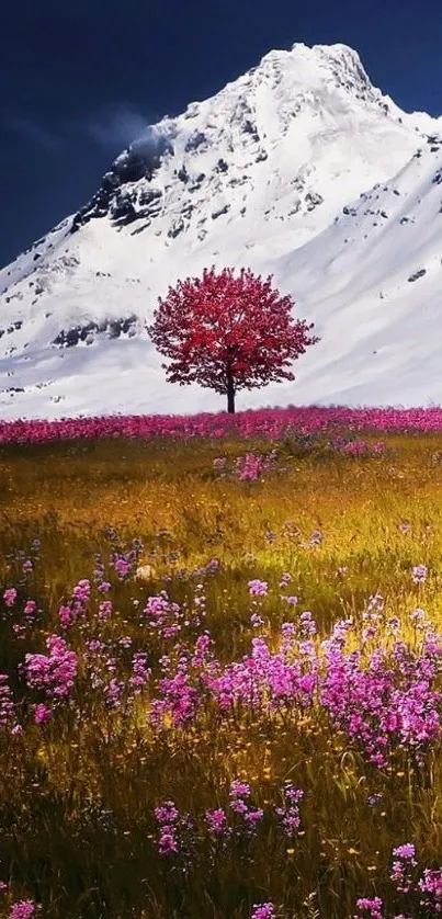 Solitary red tree with pink flowers and snowy mountain.