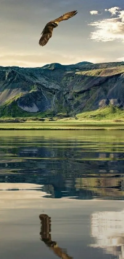 Eagle over reflective lake and mountains