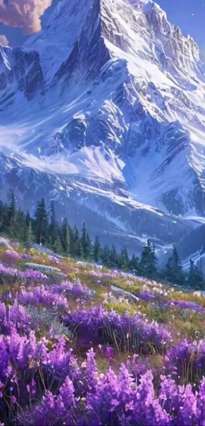 Serene mountain landscape with purple lavender fields and a snow-capped peak.