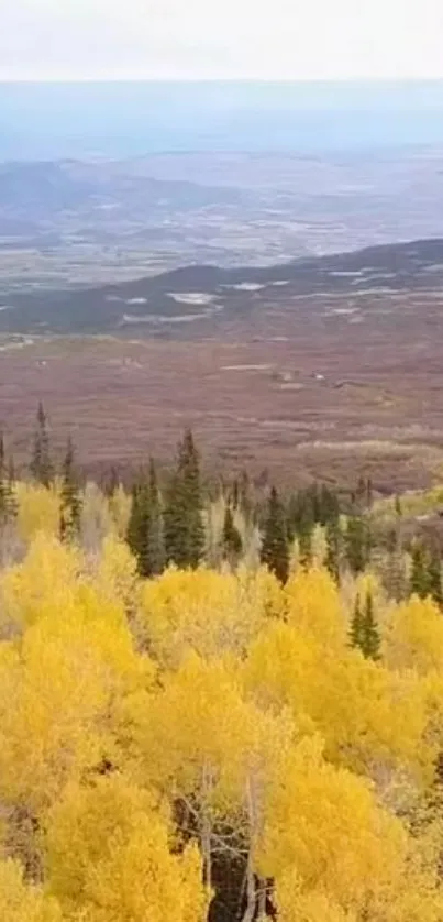 Stunning autumn mountain view with golden trees and distant hills.