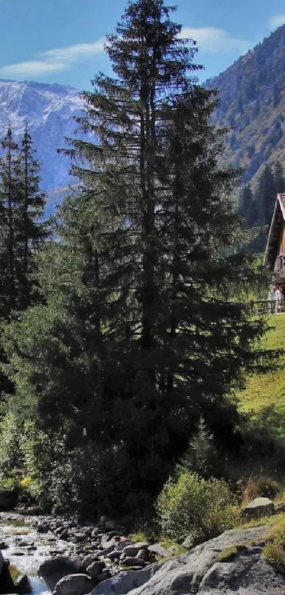 Rustic cabin surrounded by lush trees and mountains.