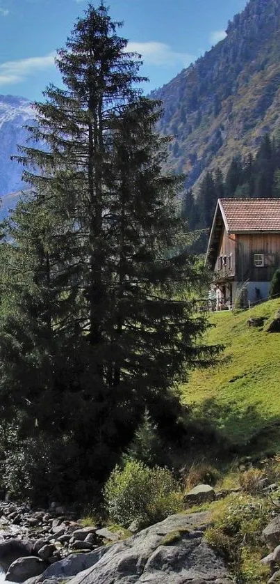 Mountain cabin surrounded by trees and greenery with a flowing stream.