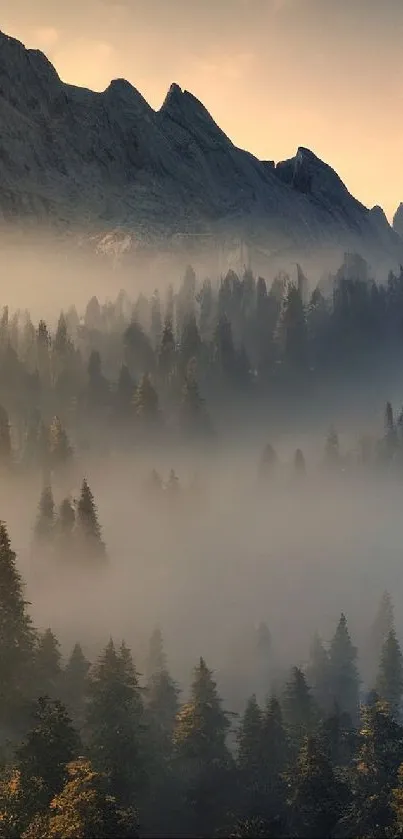 Misty mountain forest at dawn, serene landscape.