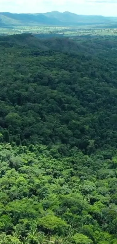 Lush green forests with distant mountains under blue sky.