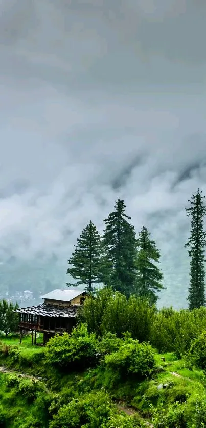 Misty mountain landscape with lush green trees and serene atmosphere.