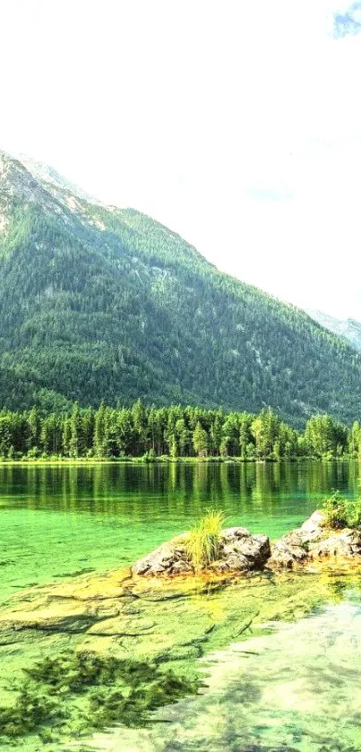 A serene mountain lake with lush greenery and clear water under a bright sky.