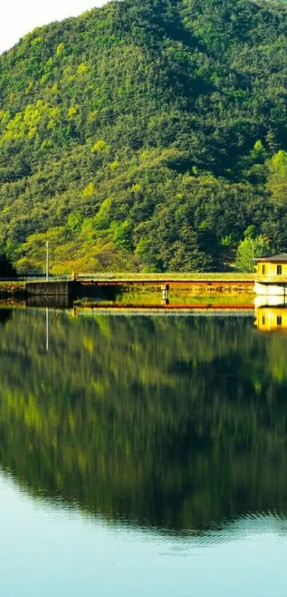 Scenic view of a green mountain and its reflection in a calm lake.