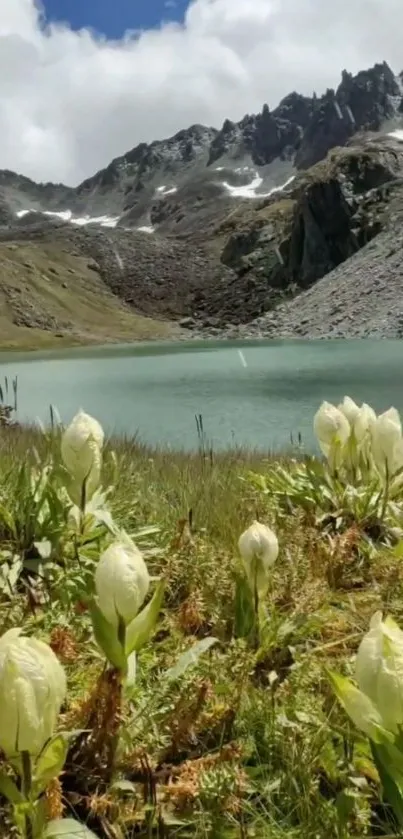 Scenic view of mountain lake with flowers and rocks.