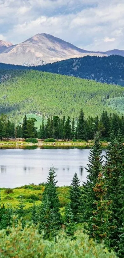 Tranquil mountain lake with lush green forest.