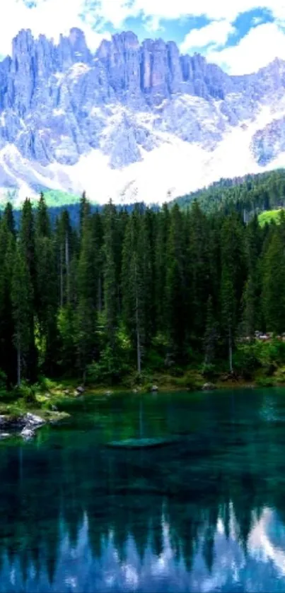 Scenic mobile wallpaper of a tranquil mountain lake and lush forest.