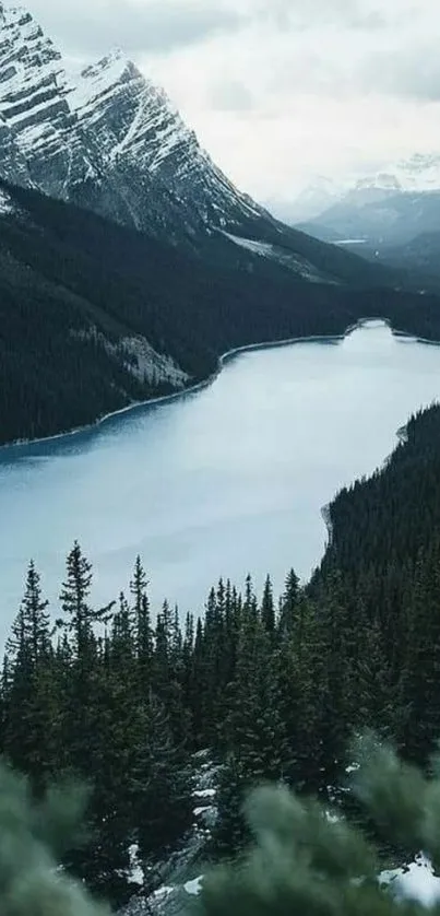 Serene mountain lake with snow-capped peaks and lush forests.