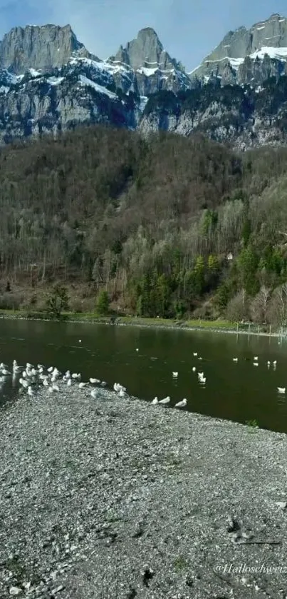 Serene lake with snow-capped mountains and lush forests.