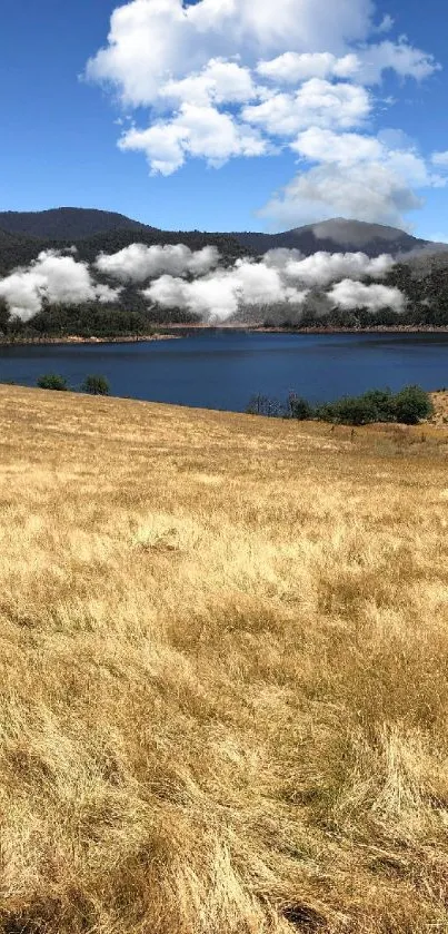 Golden field with lake and mountains under blue skies.