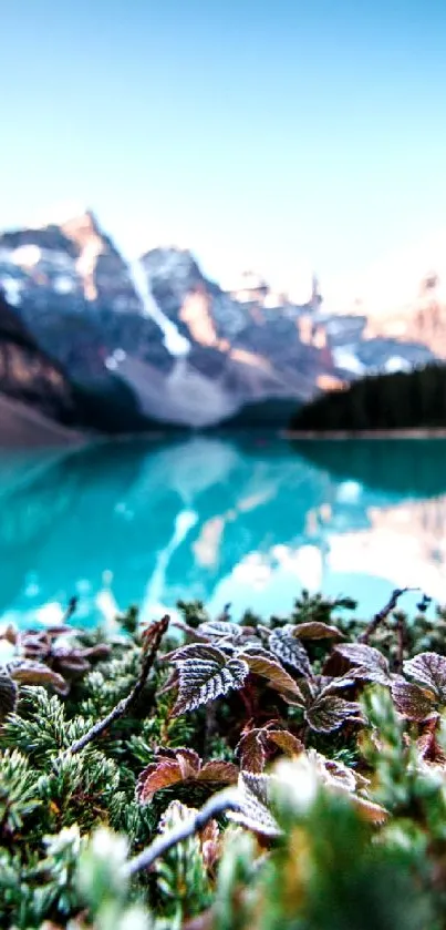 Turquoise blue lake with mountain view and clear sky.