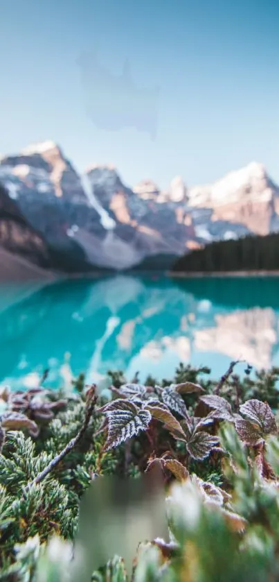 Turquoise mountain lake with snowy peaks under a clear blue sky.