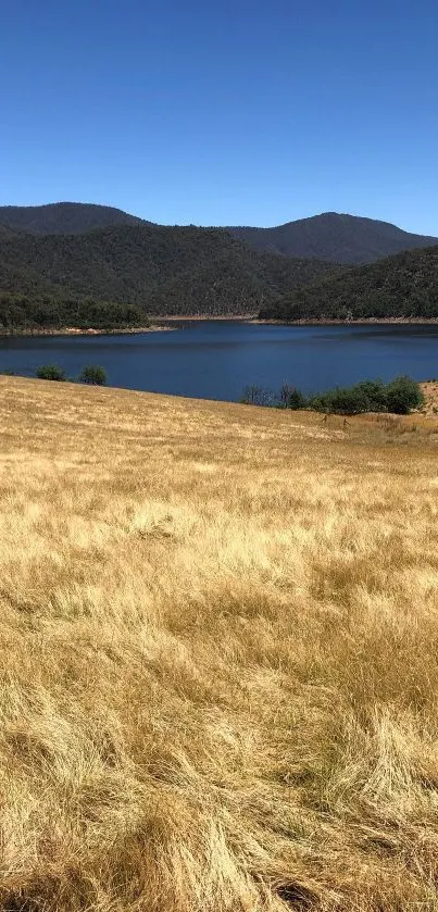 Tranquil mountain lake with golden fields and clear blue sky.