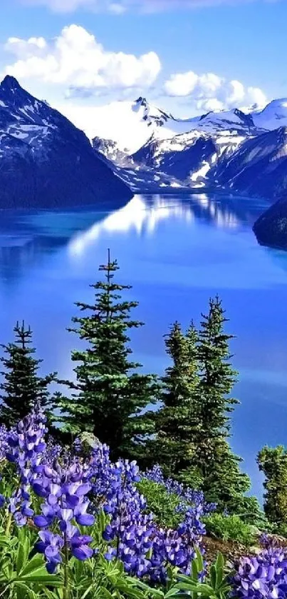 Beautiful mountain lake with flowers and snowy peaks.