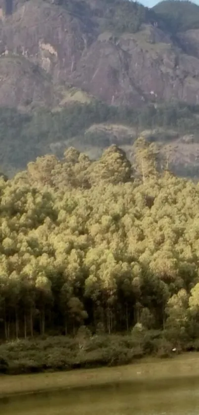 Scenic mountain and lake view with lush forest landscape.