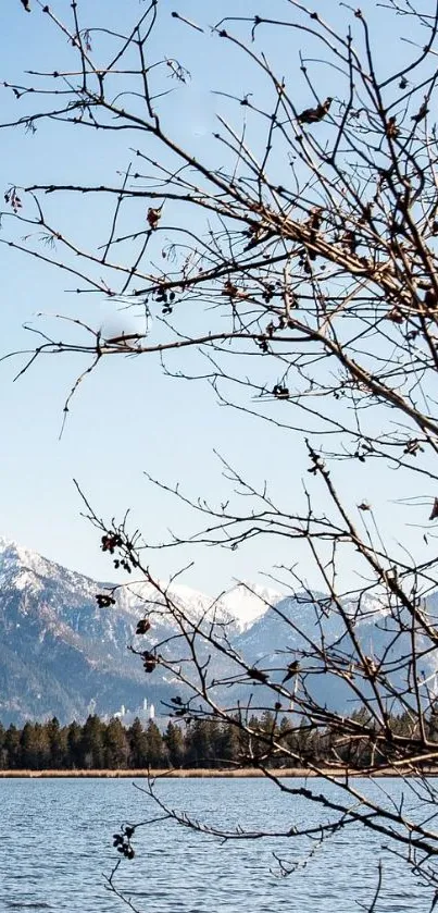 Snow-capped mountain and tranquil lake with branches.