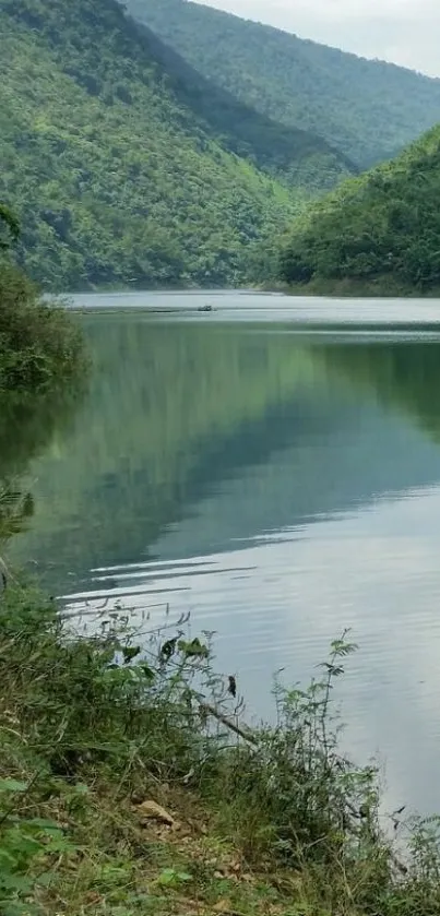 Serene lake with lush green mountains and reflections.