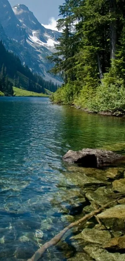 Mountain lake with clear water and lush green forest background.