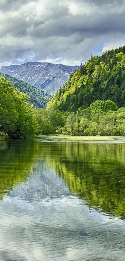 Mountain lake with lush green forests reflecting on calm water.