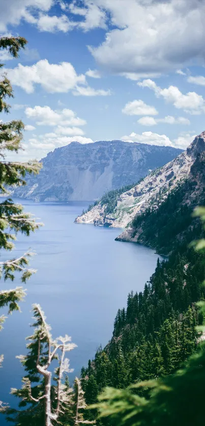 Breathtaking view of a mountain lake with lush greenery under a clear blue sky.