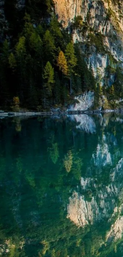 Serene mountain lake with forest and reflections.