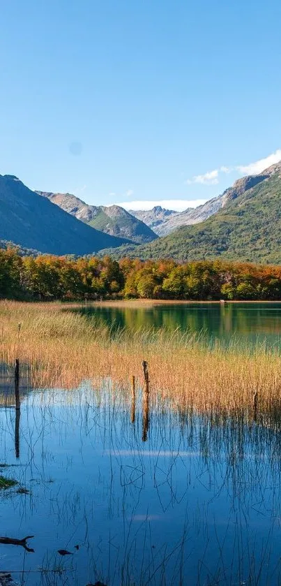 Serene mountain lake with clear sky and reflections for mobile wallpaper.