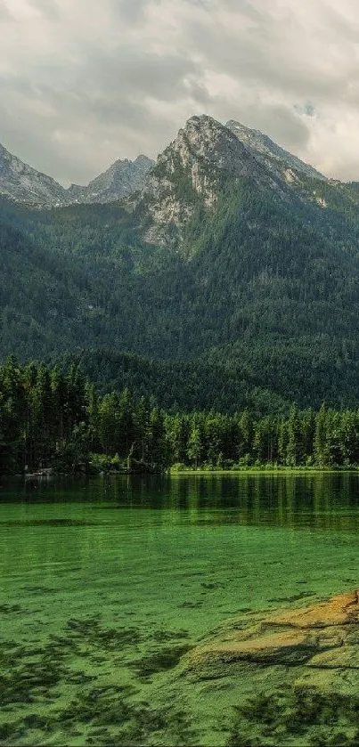 A tranquil mountain lake with lush forests and peaks.