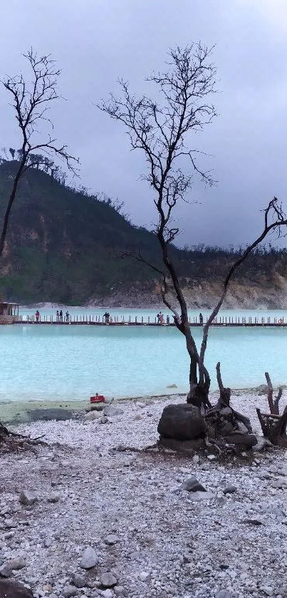 Serene mountain lake with bare trees and tranquil waters.