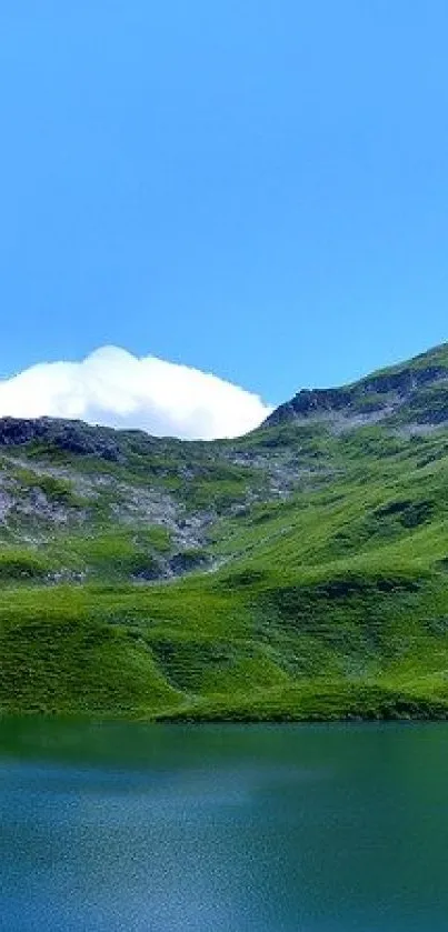 Tranquil green mountain landscape with a serene lake under a clear blue sky.