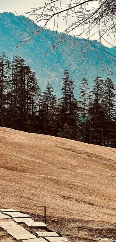 Serene mountain landscape with forest and path.