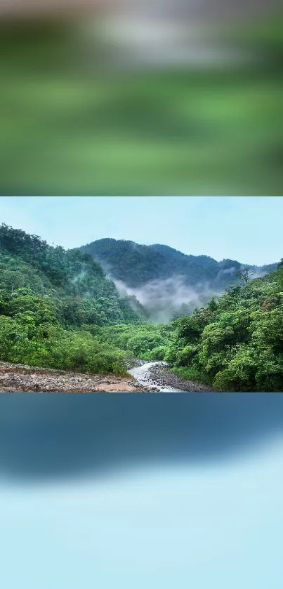 Mobile wallpaper of misty green mountains and lush forests.